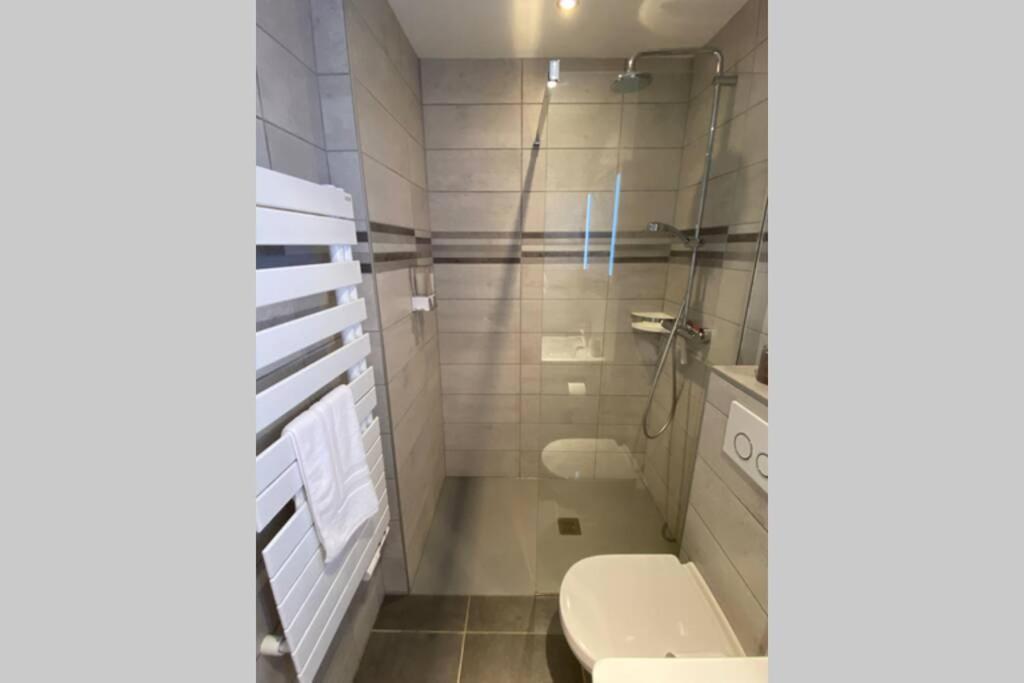 Le Continental Beau T2 Plein Centre + Parking Apartment Annecy Bagian luar foto